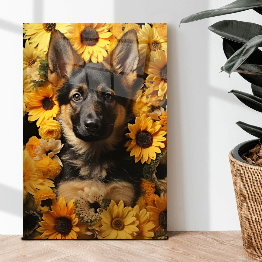 Acrylglasbild Schäferhundwelpe vor Sonnenblume Hochformat