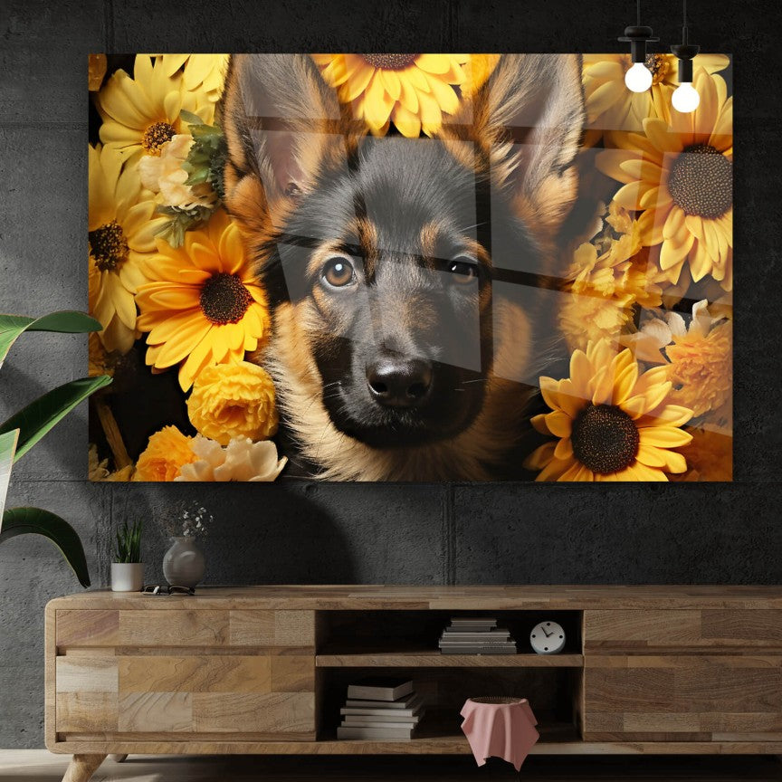 Acrylglasbild Schäferhundwelpe vor Sonnenblume Querformat