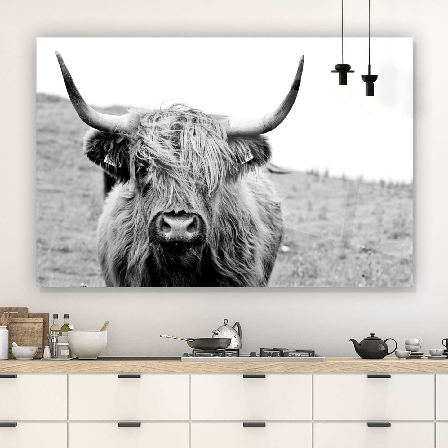 Acrylglasbild Schottisches Hochlandrind Querformat