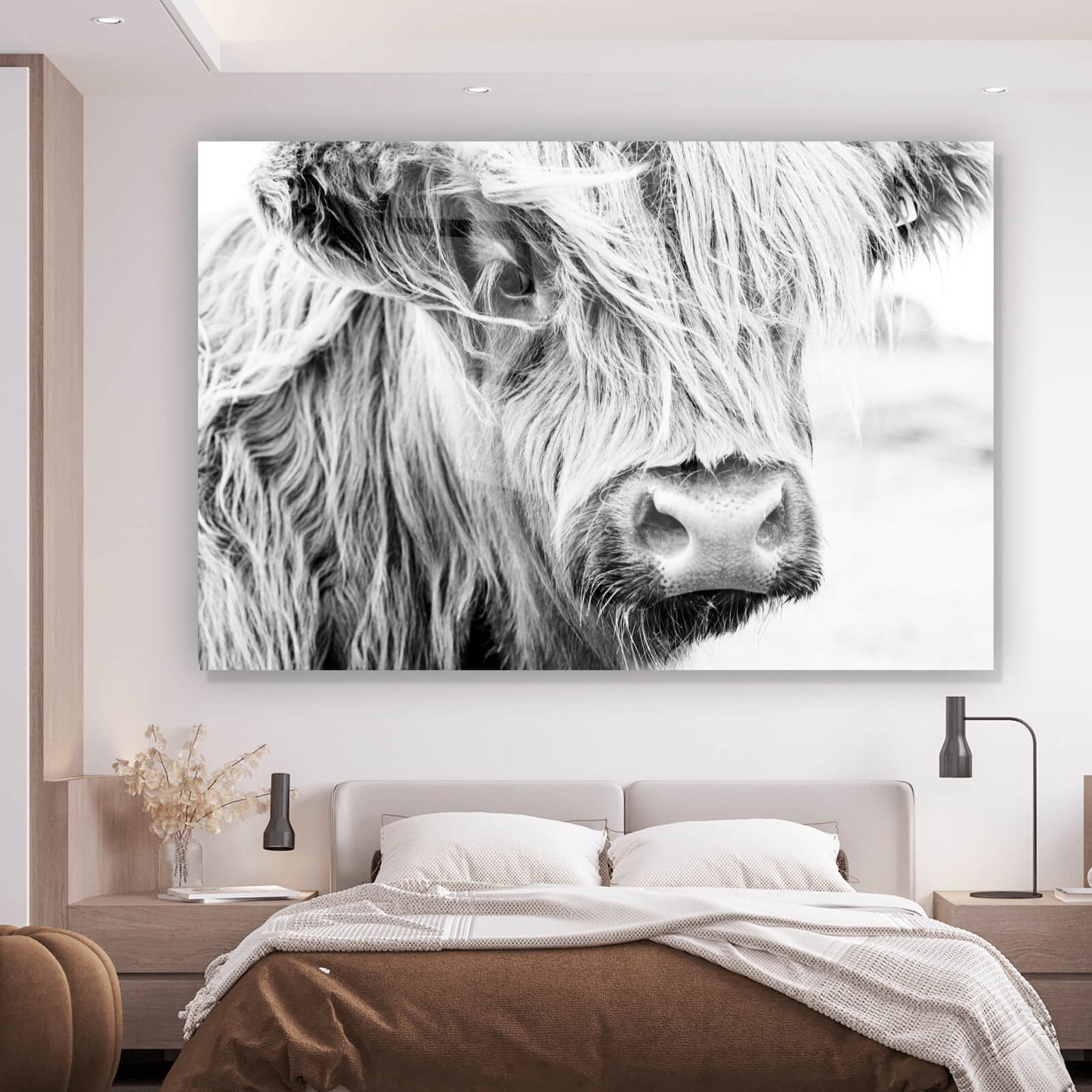 Acrylglasbild Schottisches Hochlandrind Schwarz Weiss Querformat