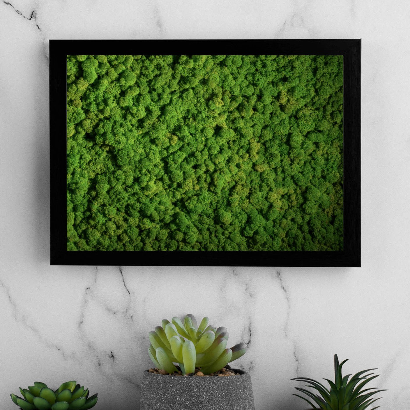 Poster Kugelmoos in sattem Grün Querformat