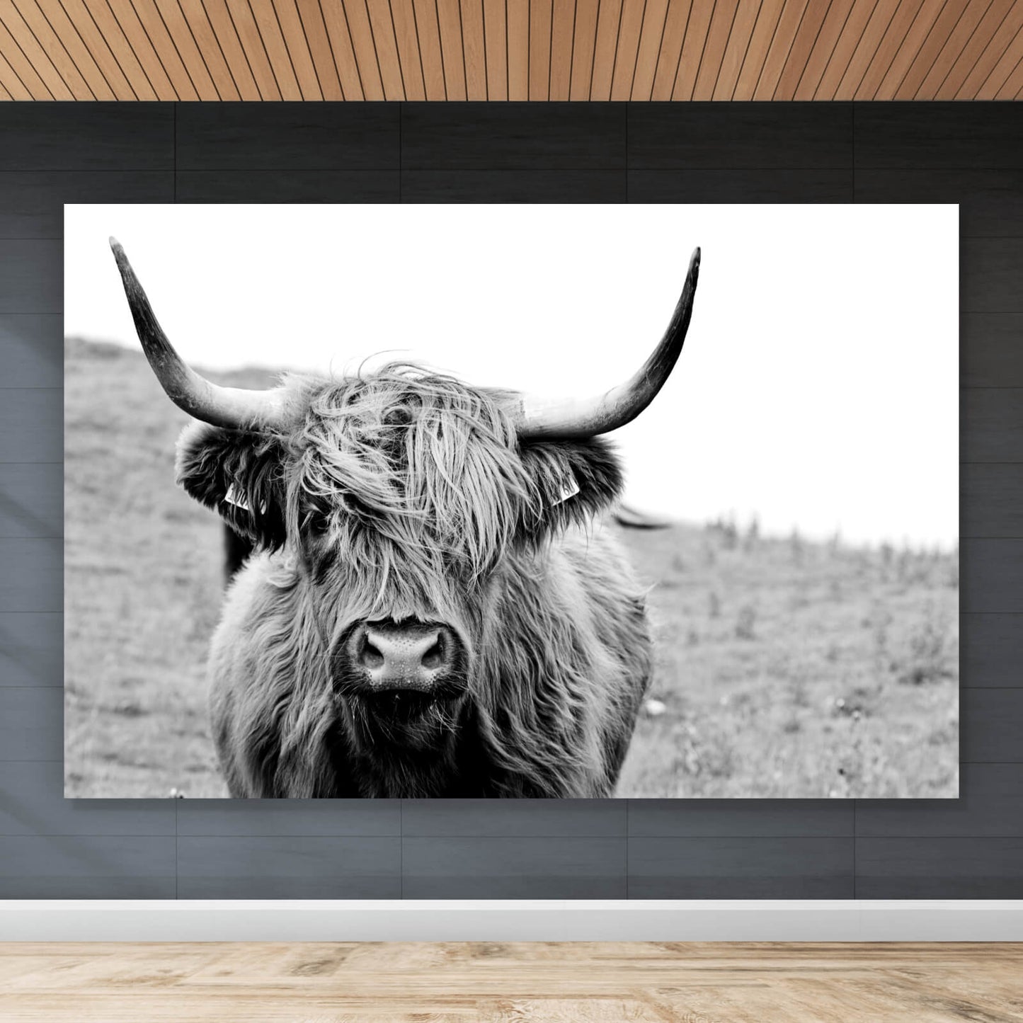 Leinwandbild Schottisches Hochlandrind Querformat