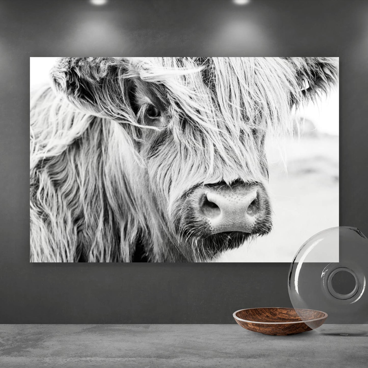 Leinwandbild Schottisches Hochlandrind Schwarz Weiss Querformat