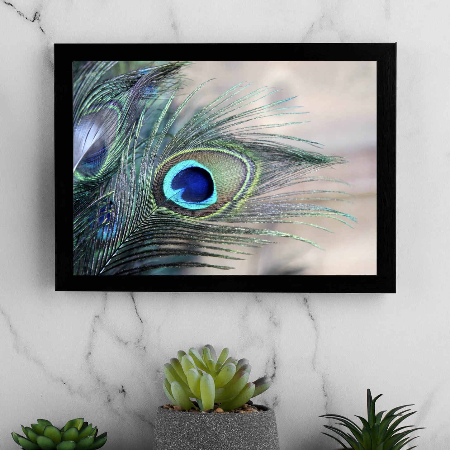 Poster Feder eines Pfauen Querformat