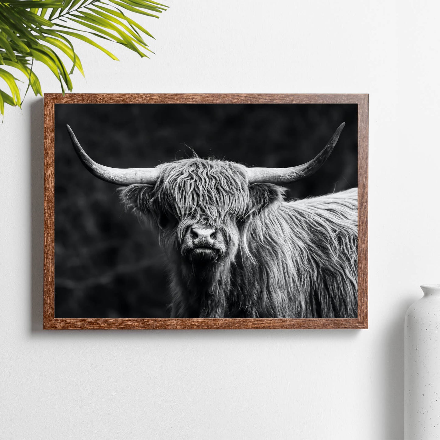Poster Hochlandrind Schwarz Weiß Querformat