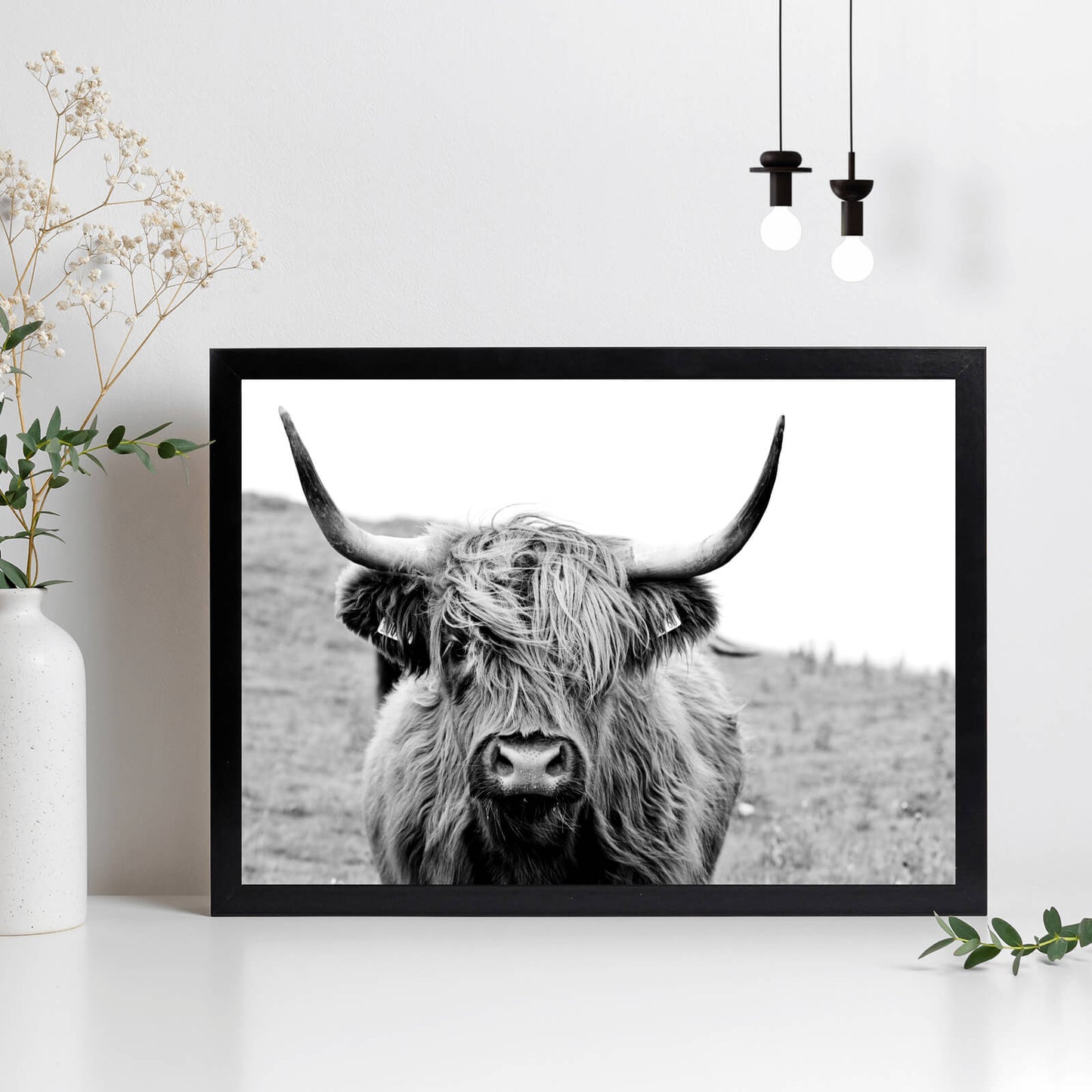 Poster Schottisches Hochlandrind Querformat