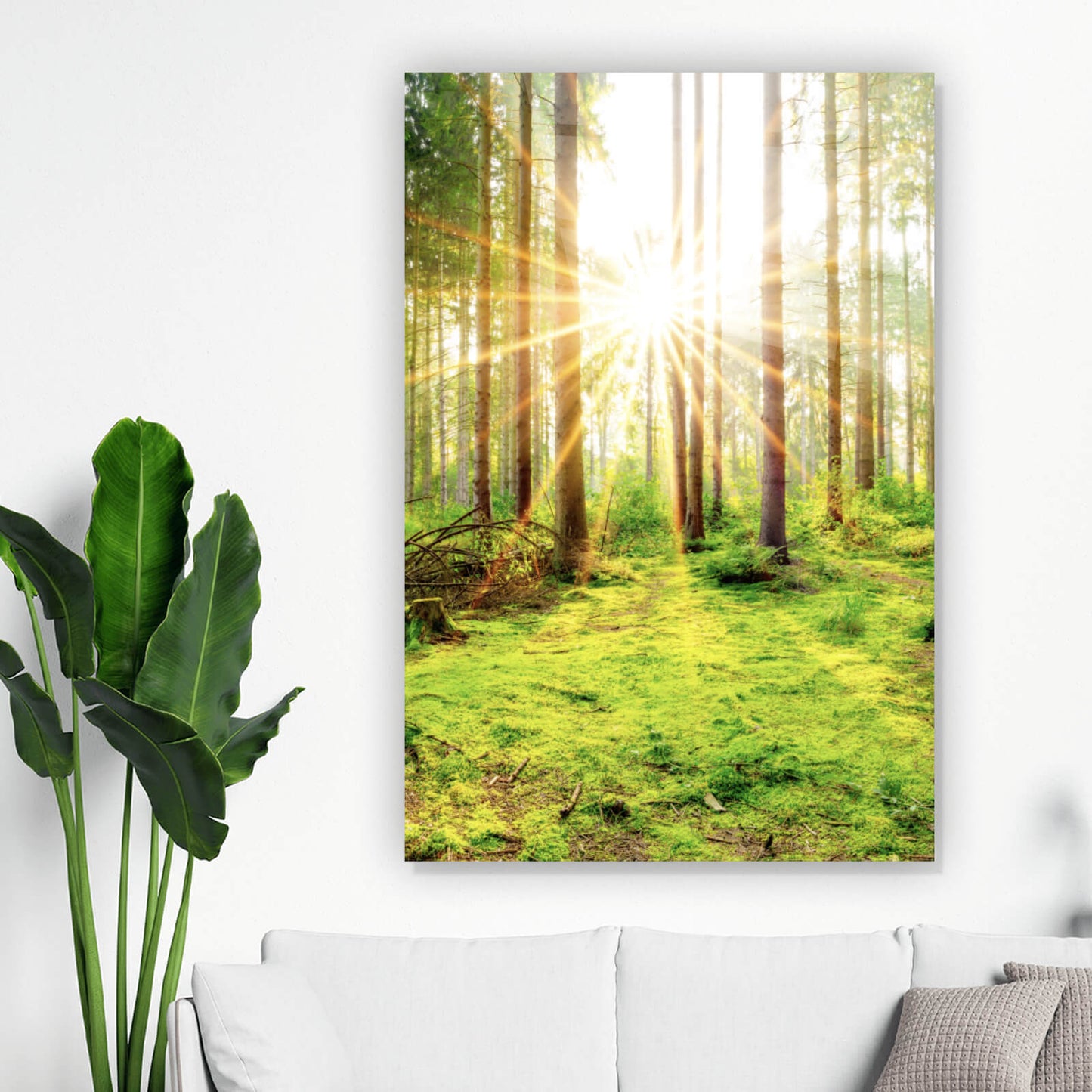 Acrylglasbild Wald am Morgen Hochformat