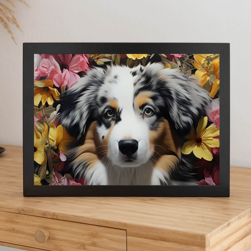 Poster Australian Shepherd Welpe Querformat