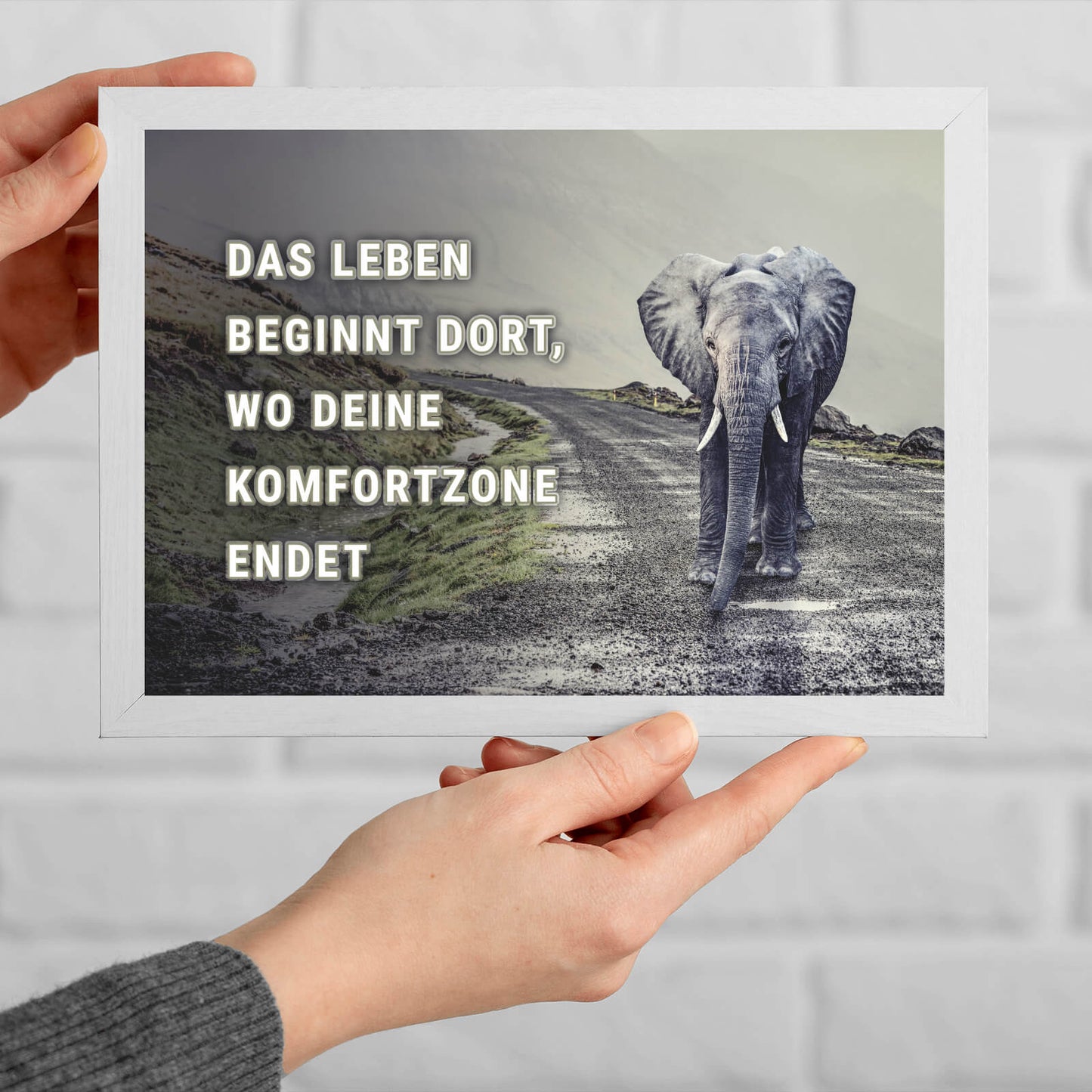 Poster Elefant mit Spruch Querformat